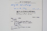 姬卷柏藏品圖，第2張