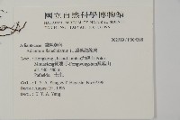 扇葉鐵線蕨藏品圖，第2張
