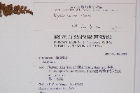 紅苞蹄蓋蕨藏品圖，第2張