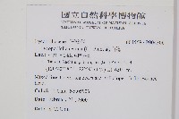 過山龍藏品圖，第2張