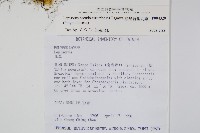 擬芨瓦葦藏品圖，第2張