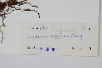 登錄號:P004330藏品圖，第2張