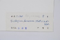 細柄雙蓋蕨藏品圖，第3張