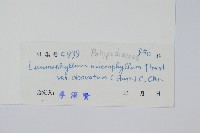 登錄號:P004415藏品圖，第2張