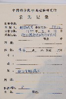 毛柄短腸蕨藏品圖，第2張