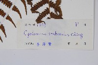 登錄號:P004478藏品圖，第2張