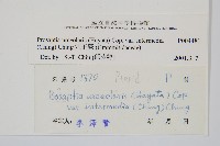 登錄號:P004481藏品圖，第2張