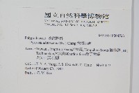 抱樹石葦藏品圖，第2張