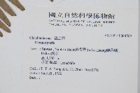 登錄號:P004509藏品圖，第2張