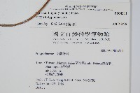 石葦藏品圖，第2張