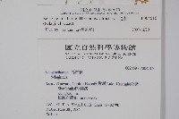 玉山卷柏藏品圖，第2張