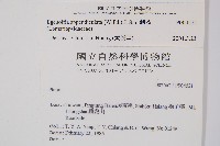 刺蕨藏品圖，第2張