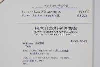 翅柄鳳尾蕨藏品圖，第2張