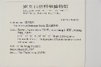 劍葉鐵角蕨、箭葉鐵角蕨藏品圖，第2張