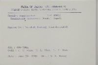 沙皮蕨藏品圖，第2張