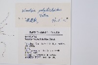 岩蕨藏品圖，第2張