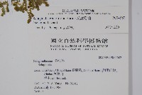 疏葉卷柏藏品圖，第2張