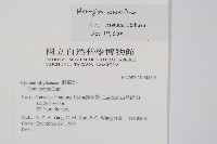 厚壁蕨藏品圖，第2張