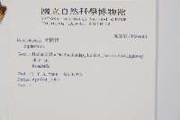 登錄號:P004601藏品圖，第2張