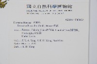 姬蕨藏品圖，第2張