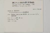 扇葉鐵線蕨藏品圖，第2張