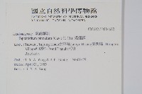 達邊蕨藏品圖，第2張