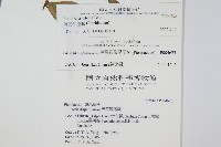 疏羽半邊旗藏品圖，第2張