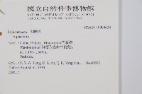 登錄號:P004624藏品圖，第2張