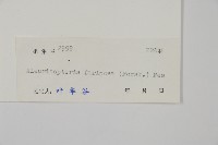 登錄號:P004628藏品圖，第2張