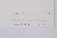 中越蹄蓋蕨藏品圖，第3張