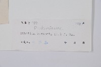 金狗毛蕨藏品圖，第2張