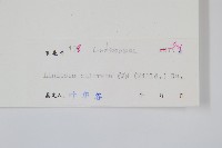 網脈鱗始蕨藏品圖，第2張