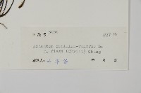 登錄號:P004703藏品圖，第2張