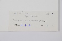 木賊藏品圖，第2張