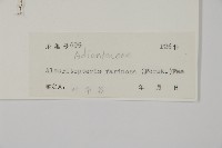 登錄號:P004715藏品圖，第2張