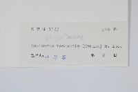 擬瓦葦藏品圖，第2張