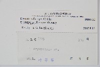 黑足鱗毛蕨藏品圖，第2張