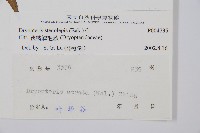 狹鱗鱗毛蕨藏品圖，第2張