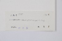 登錄號:P004737藏品圖，第2張