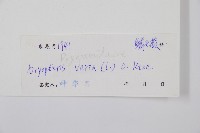 南海鱗毛蕨藏品圖，第2張