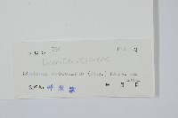 登錄號:P004779藏品圖，第2張