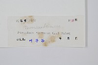 烏蕨藏品圖，第2張