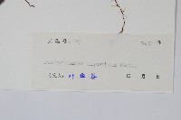 登錄號:P004820藏品圖，第2張