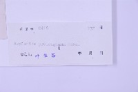 長生鐵角蕨藏品圖，第2張