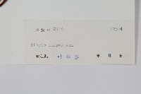 天草鳳尾蕨藏品圖，第2張