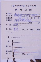 生芽鐵角蕨藏品圖，第3張