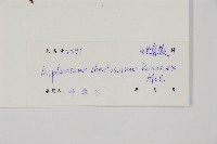 薄葉孔雀鐵角蕨、邊孢鐵角蕨藏品圖，第2張