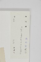 劍葉鐵角蕨、箭葉鐵角蕨藏品圖，第2張