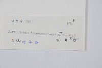 貞蕨藏品圖，第2張