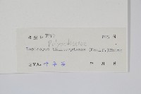 瓦葦藏品圖，第2張